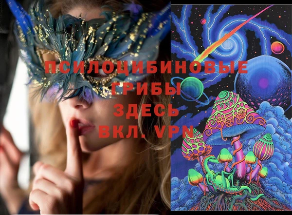 гашик Алексеевка