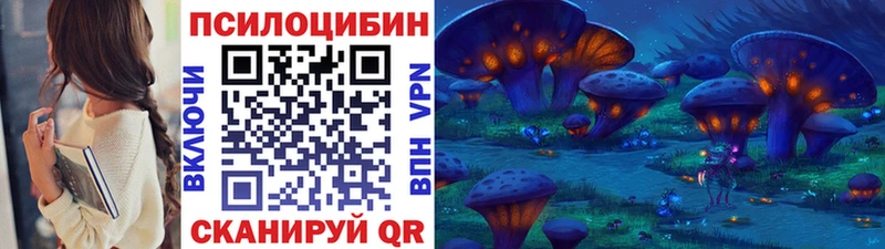 Галлюциногенные грибы Psilocybine cubensis  Плавск 