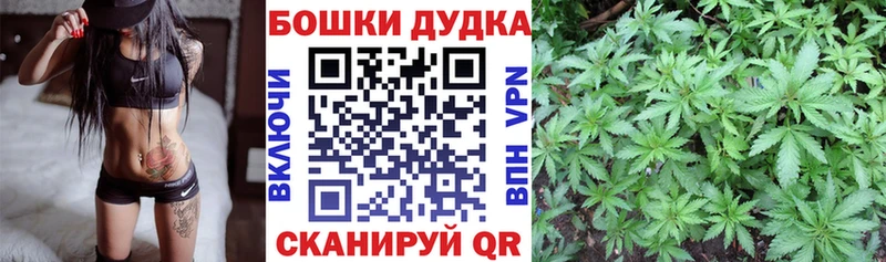 закладка  Плавск  Канабис SATIVA & INDICA 